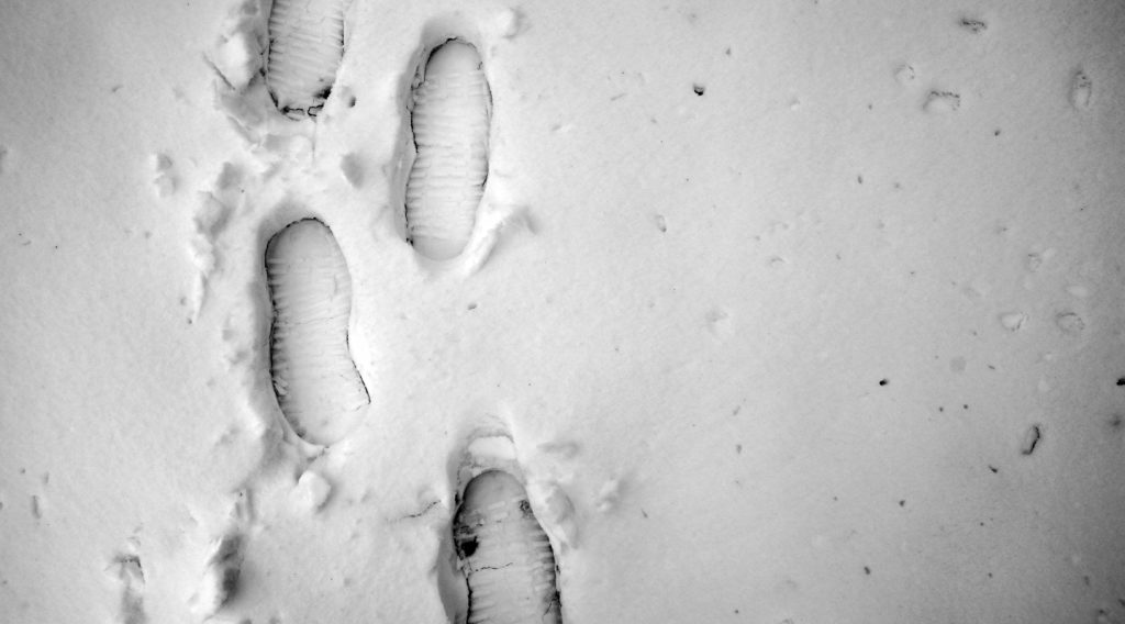 Walking On Thin Ice