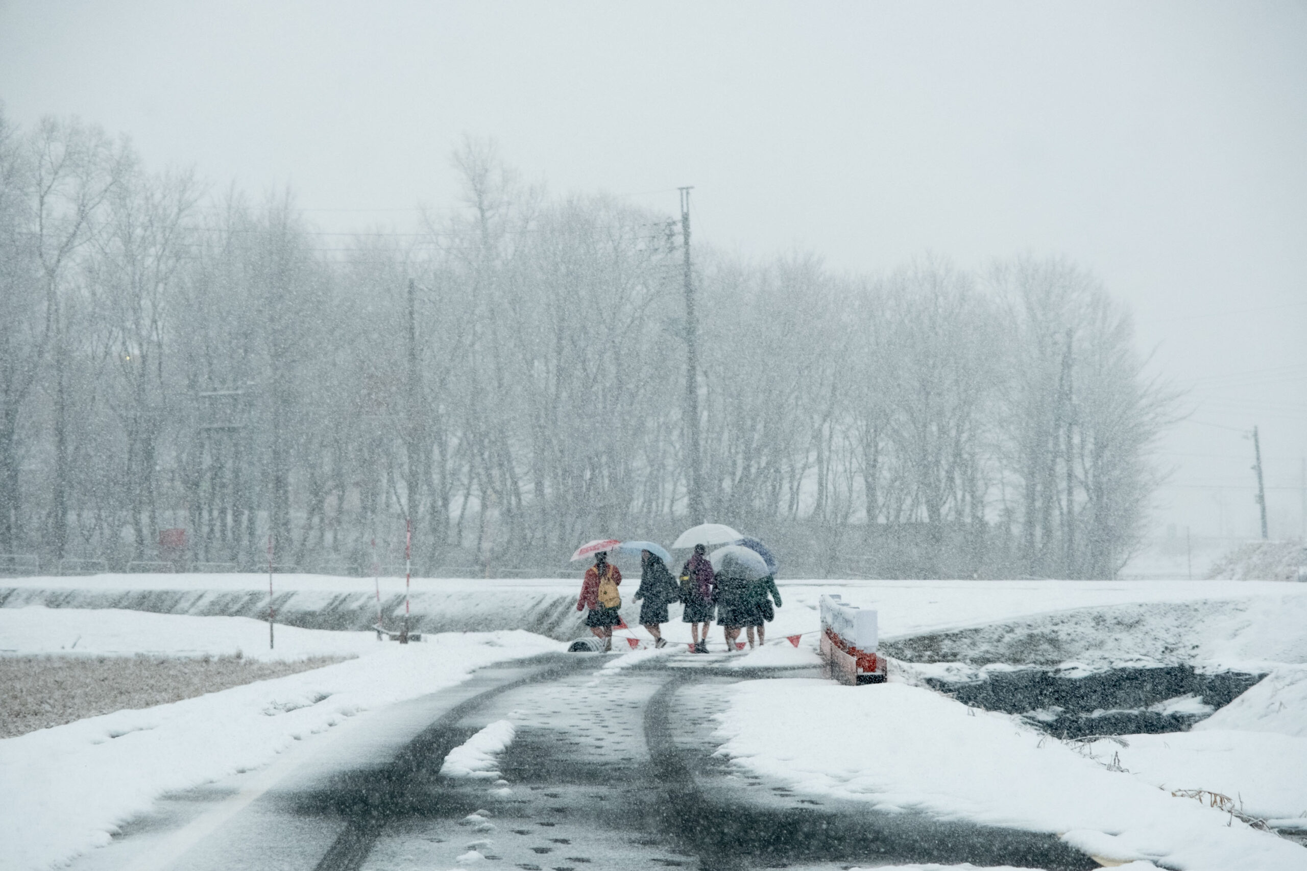 5 Steps To Preventing Slip And Fall Accidents In Your Area