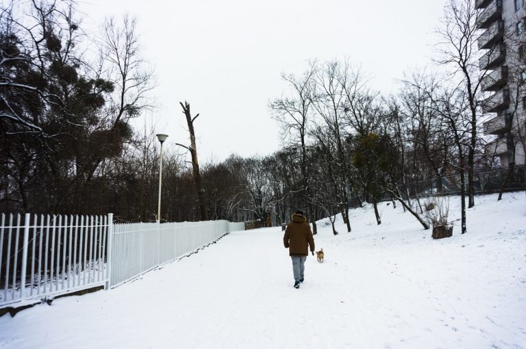 Traction For Walking On Ice