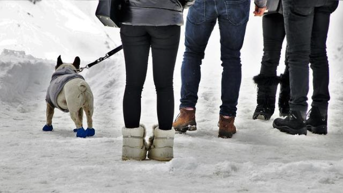 Walk On Ice Without Slipping