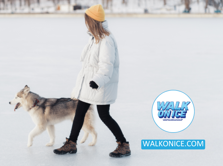 How To Walk Your Dog In Snow