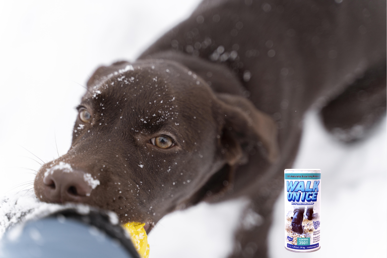 Pet-Safe Ice Melt