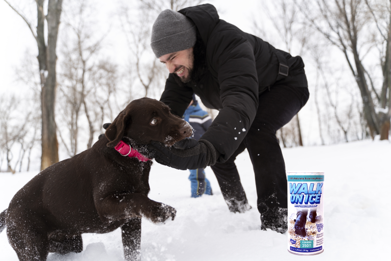 Safe Ice Melt For Pets