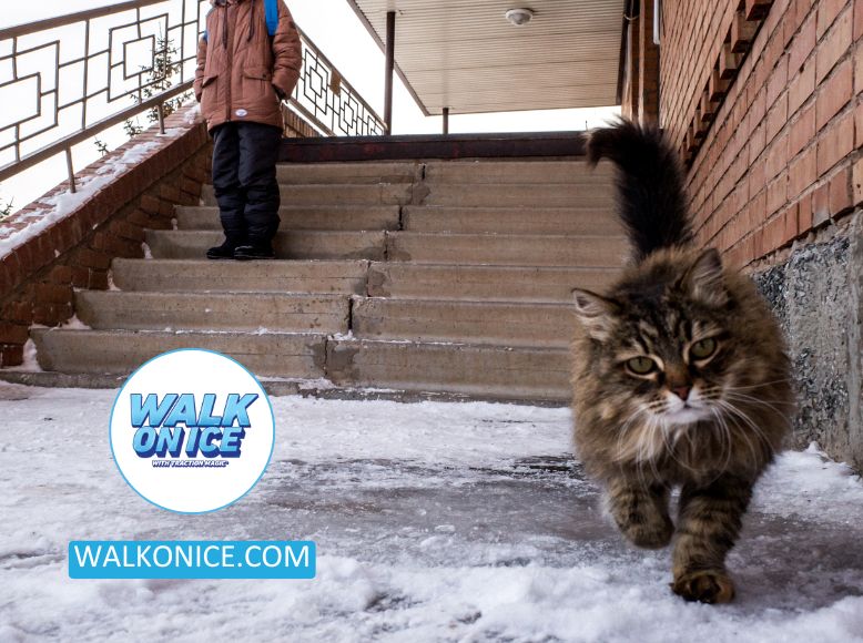 https://walkonice.com/wp-content/uploads/2023/08/Understanding-The-Safety-Of-Ice-Melt-For-Pets_-Tips-For-Responsible-Use.jpg