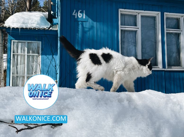 Safe Paws Ice Melt_ The Ideal Solution For Winter Traction And Pet Safety