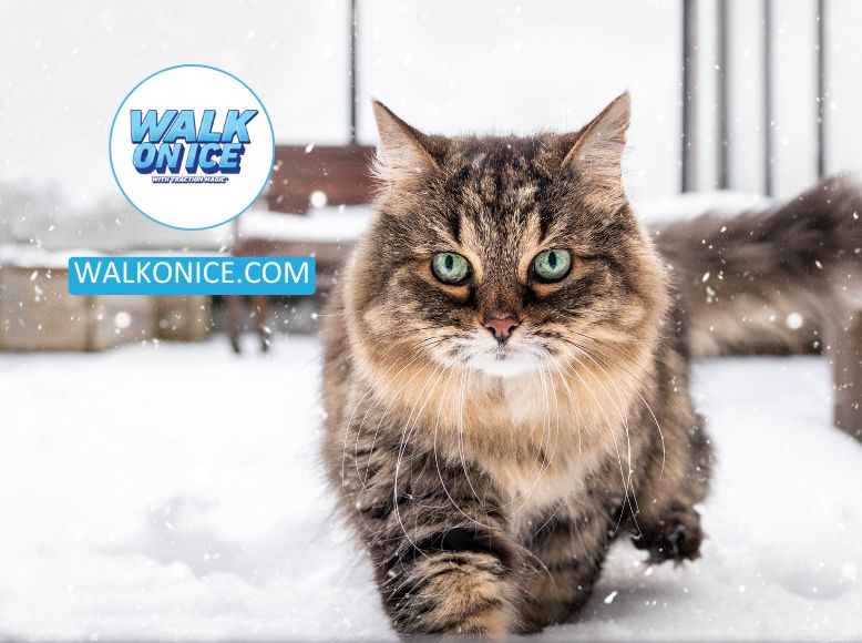 The Importance Of Using Pet-Safe Ice Melt_ Protecting Your Pets And The Environment