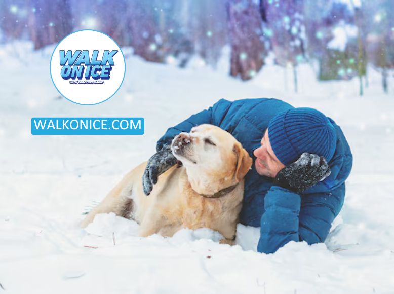 Understanding The Safety Of Ice Melt For Dogs_ Guidelines And Recommendations