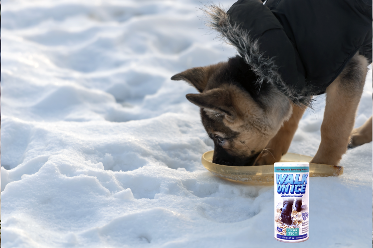 Safe Ice Melt for Dogs