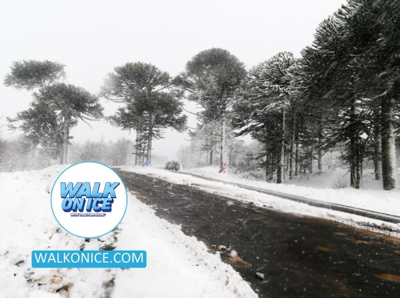 5 Effective Methods To Remove And Prevent Black Ice