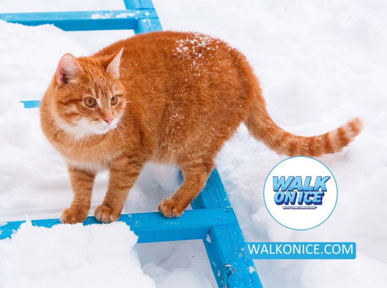 Choosing The Best Pet-Safe Ice Melts_ Winter Safety For Your Furry Friends