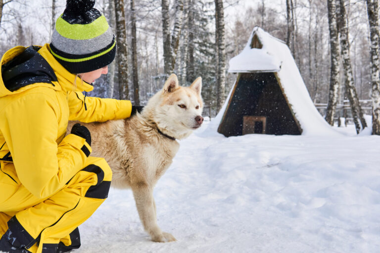 Safe-Pet-Ice-Melter_-Protecting-Your-Pets-And-The-Environment