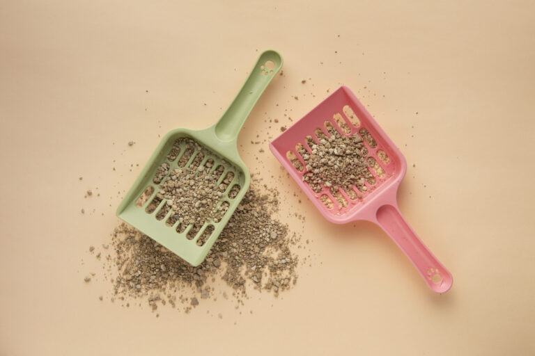 Cat Litter For Ice_ Traditional Methods Vs. Modern Traction Solutions
