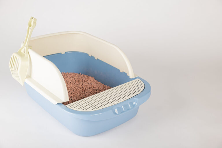 Cat-Litter-Ice-Melt_-The-Chemistry-Of-Ice-Melting-With-Absorbent-Materials