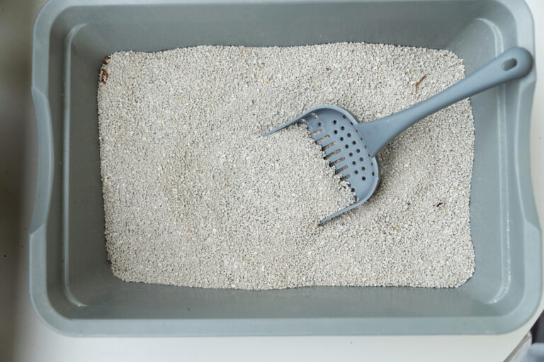 Cat-Litter-Manufacturers-In-Usa_-A-Look-Into-Production-And-Alternative
