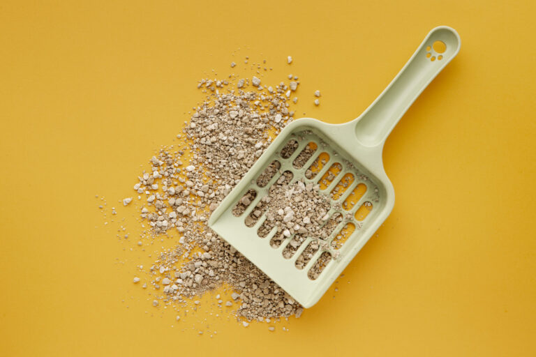 How To Clean Clumping Cat Litter_ A Step-By-Step Guide