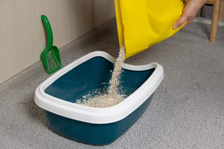 How-To-Save-Money-On-Cat-Litter_-Cost-Effective-Alternatives-And-Tips