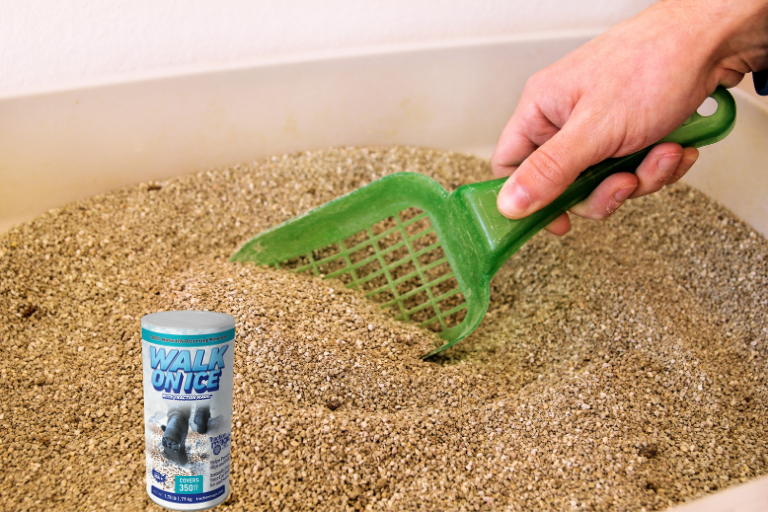 How To Save Money On Cat Litter: Cost-Effective Alternatives And Tips
