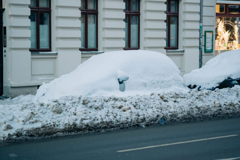 Freedom-From-Winter-Woes