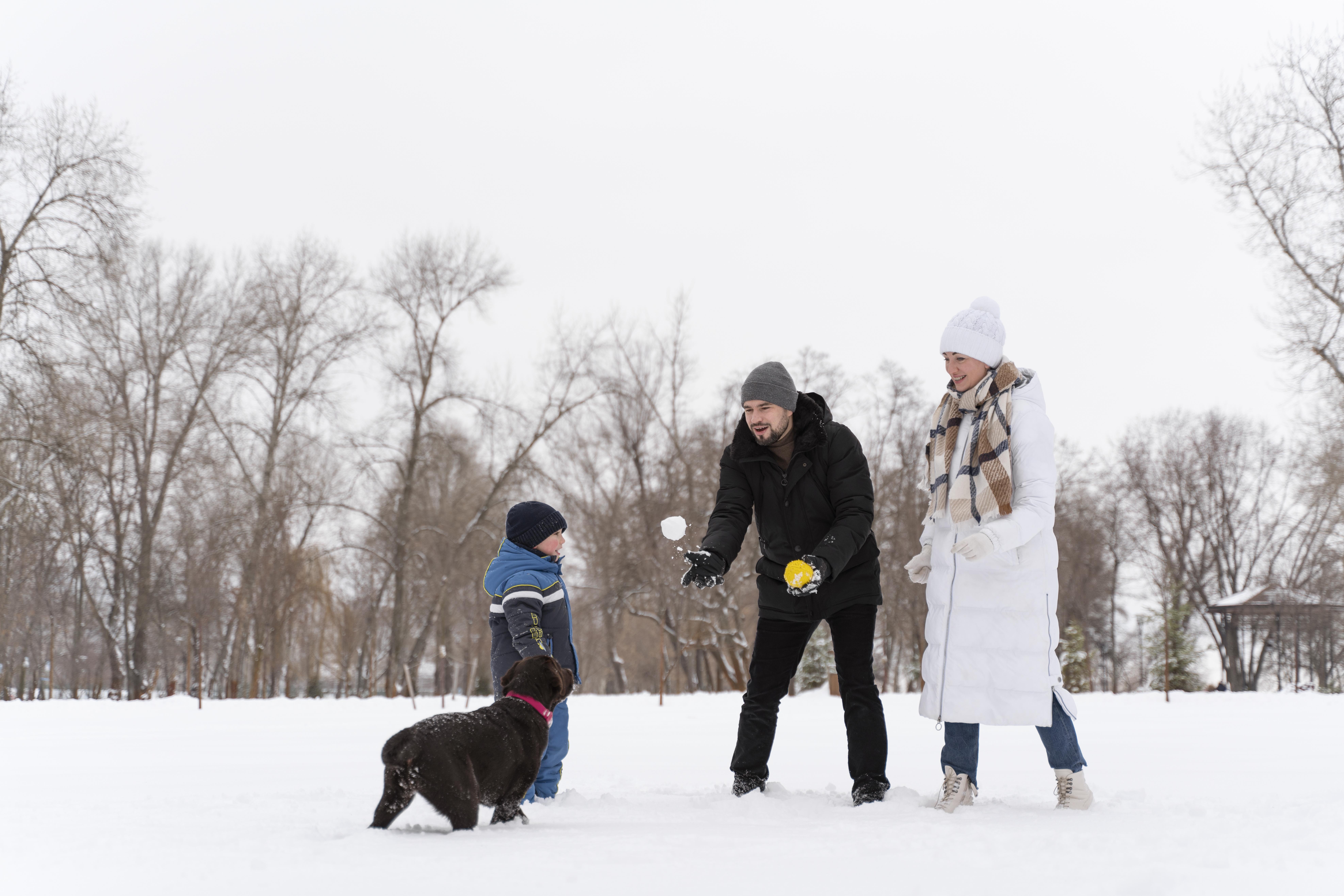 Ice Melt Safe For Concrete And Pets