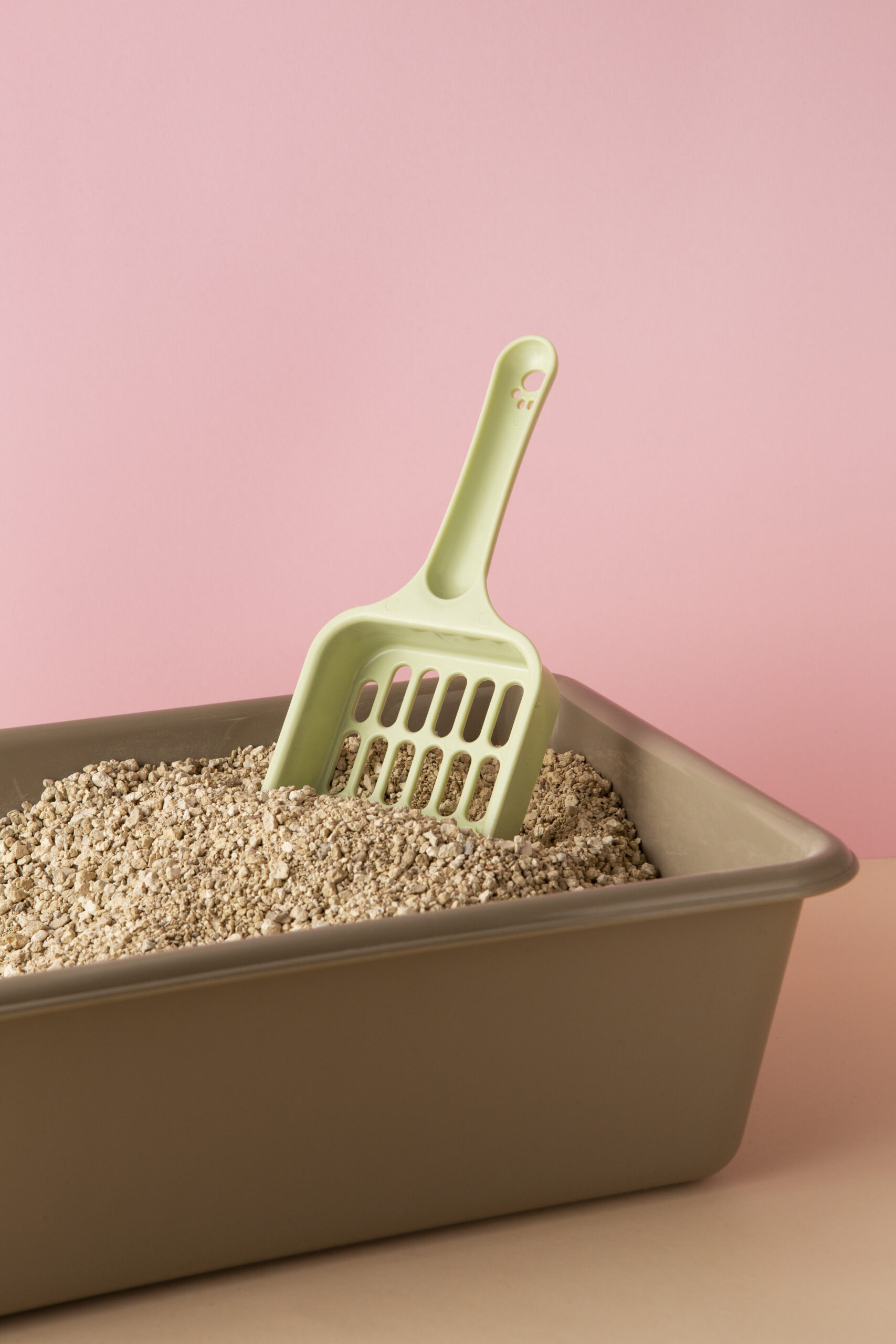 A guide to cat litter manufacturers selecting the right brand