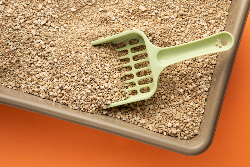 A Guide To Cat Litter Manufacturers Selecting The Right Brand (2)