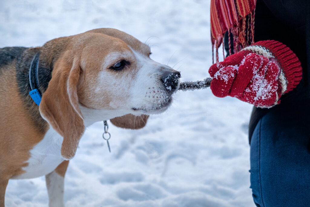 Animal Safe Ice Melt