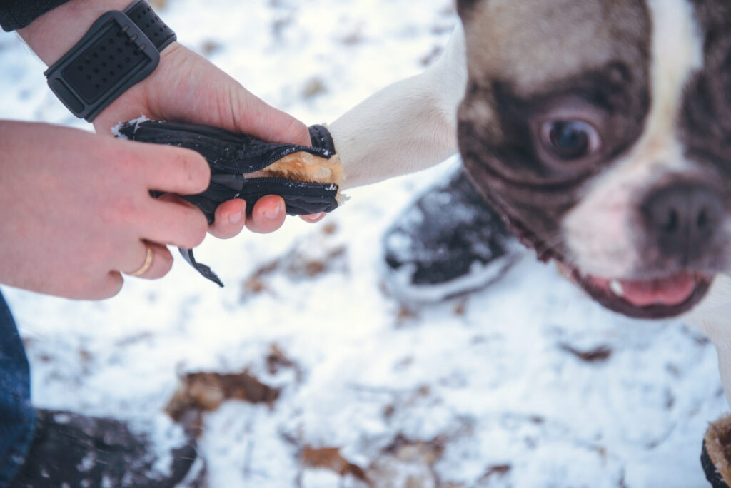 What Is In Pet Safe Ice Melt