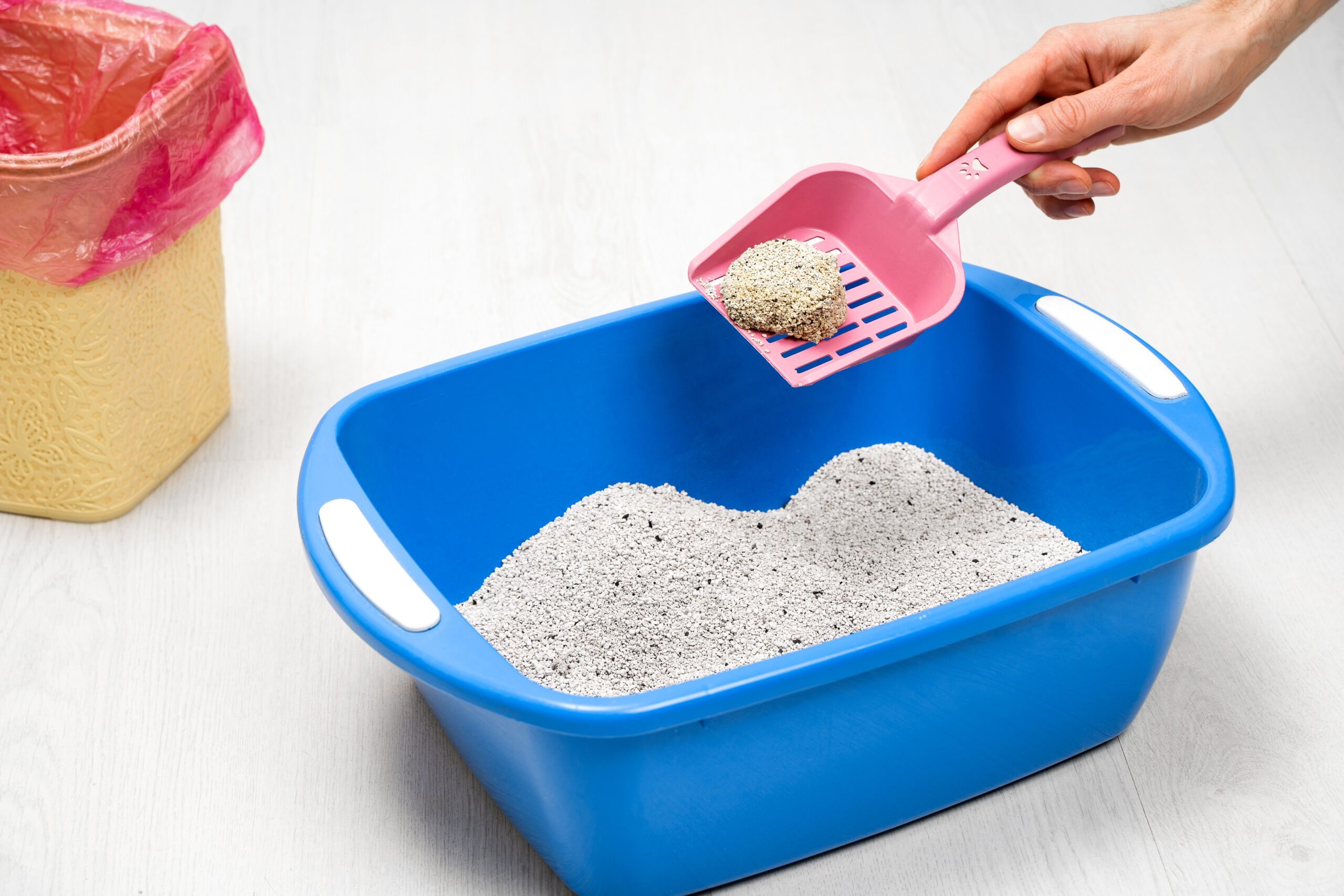 Using Cat Litter As Ice Melt Pros And Cons
