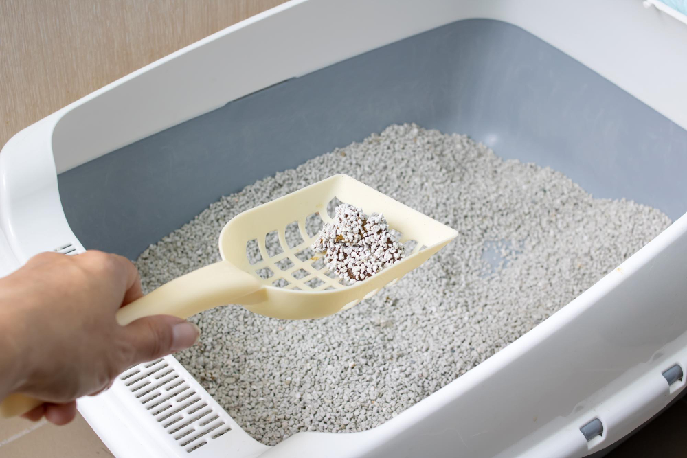 Using Cat Litter As Ice Melt Pros And Cons